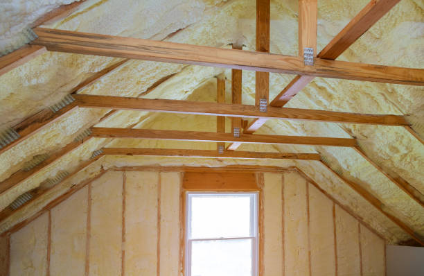 Best Commercial Insulation Contractor  in Palmer Ranch, FL