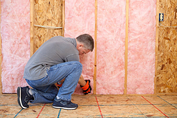 Insulation for Commercial Buildings in Palmer Ranch, FL